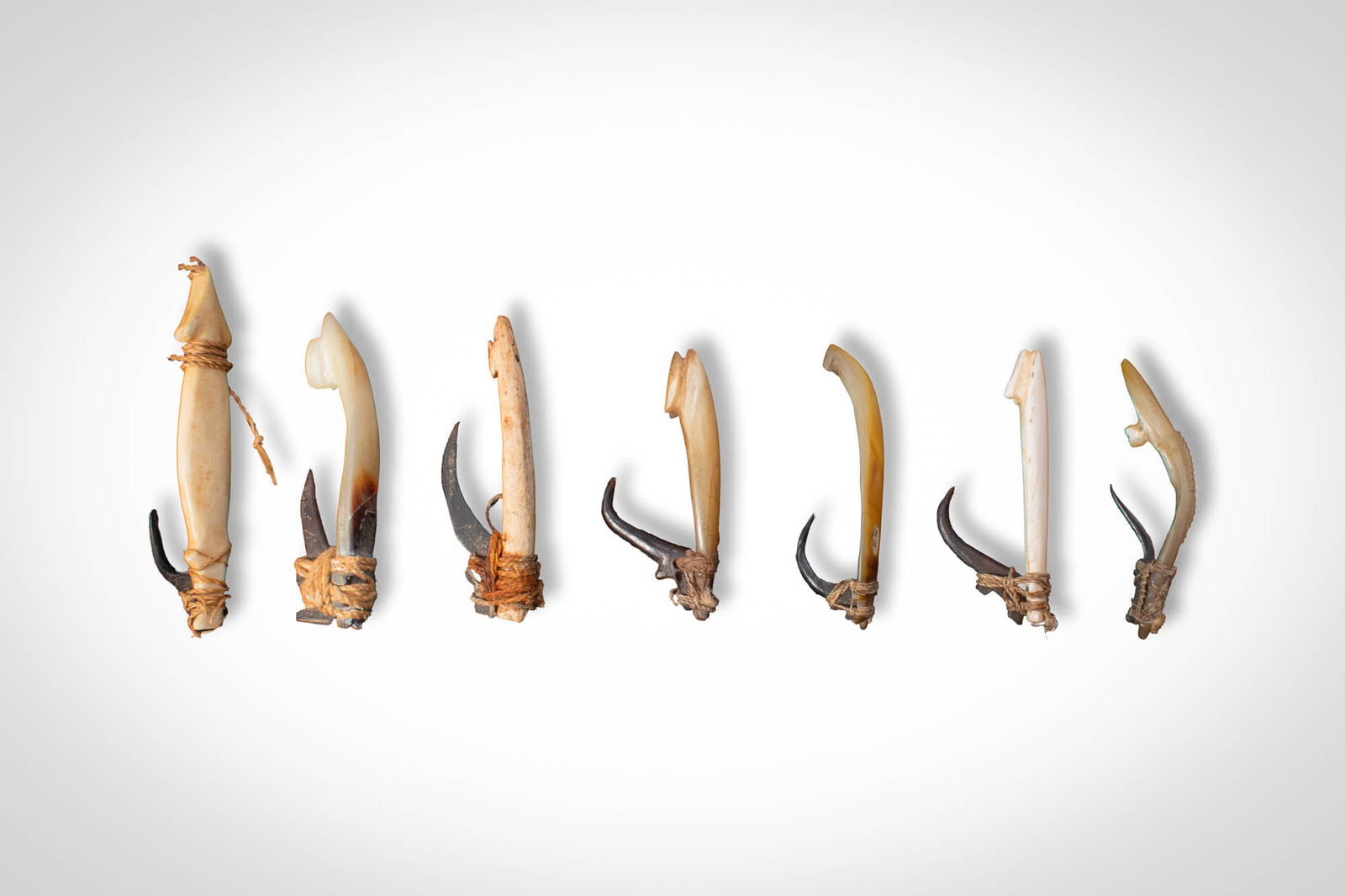 GROUP OF MELANESIAN BONITO FISH HOOKS: Ca. 19th - early 20th century AD. >A group comprising eight bonito trolling hooks constructed with elongated bone or shell shanks fitted with sharply curved hook points secured by fibre lashings. The