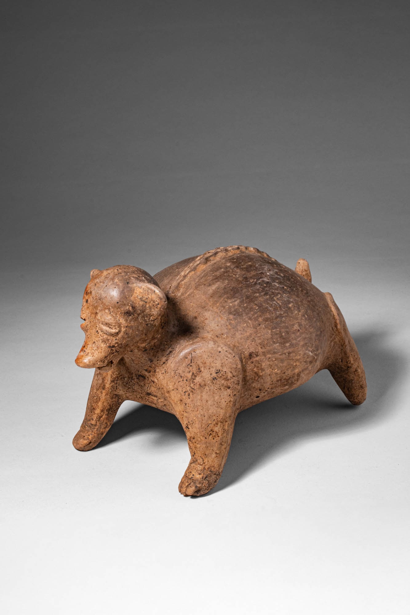 WEST MEXICO JALISCO DOG EFFIGY WITH PROTRUDING TONGUE (1 of 9)