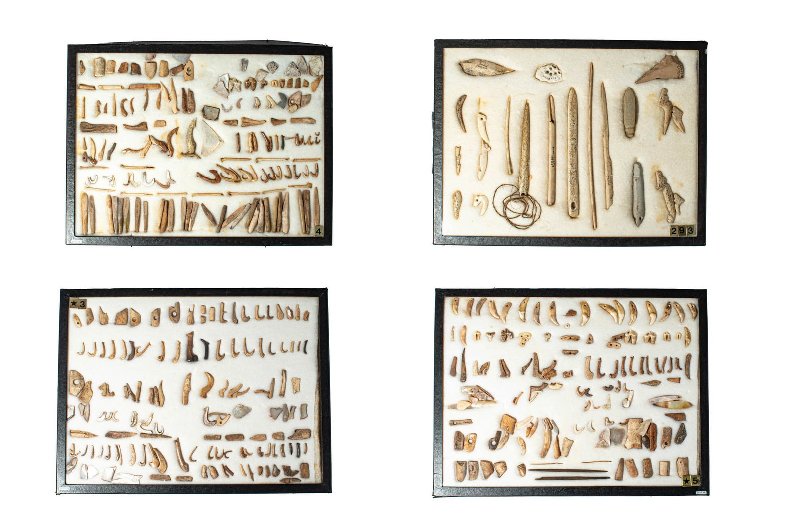 THREE SETS OF HAWAIIAN FISH HOOKS AND ONE SET OF MAORI FISHING IMPLEMENTS: Ca. late 19th - early 20th century AD. >A collection comprising three framed groups of traditional Hawaiian fish hooks (makau) and one associated group of Maori fishing implements, each mounted for di
