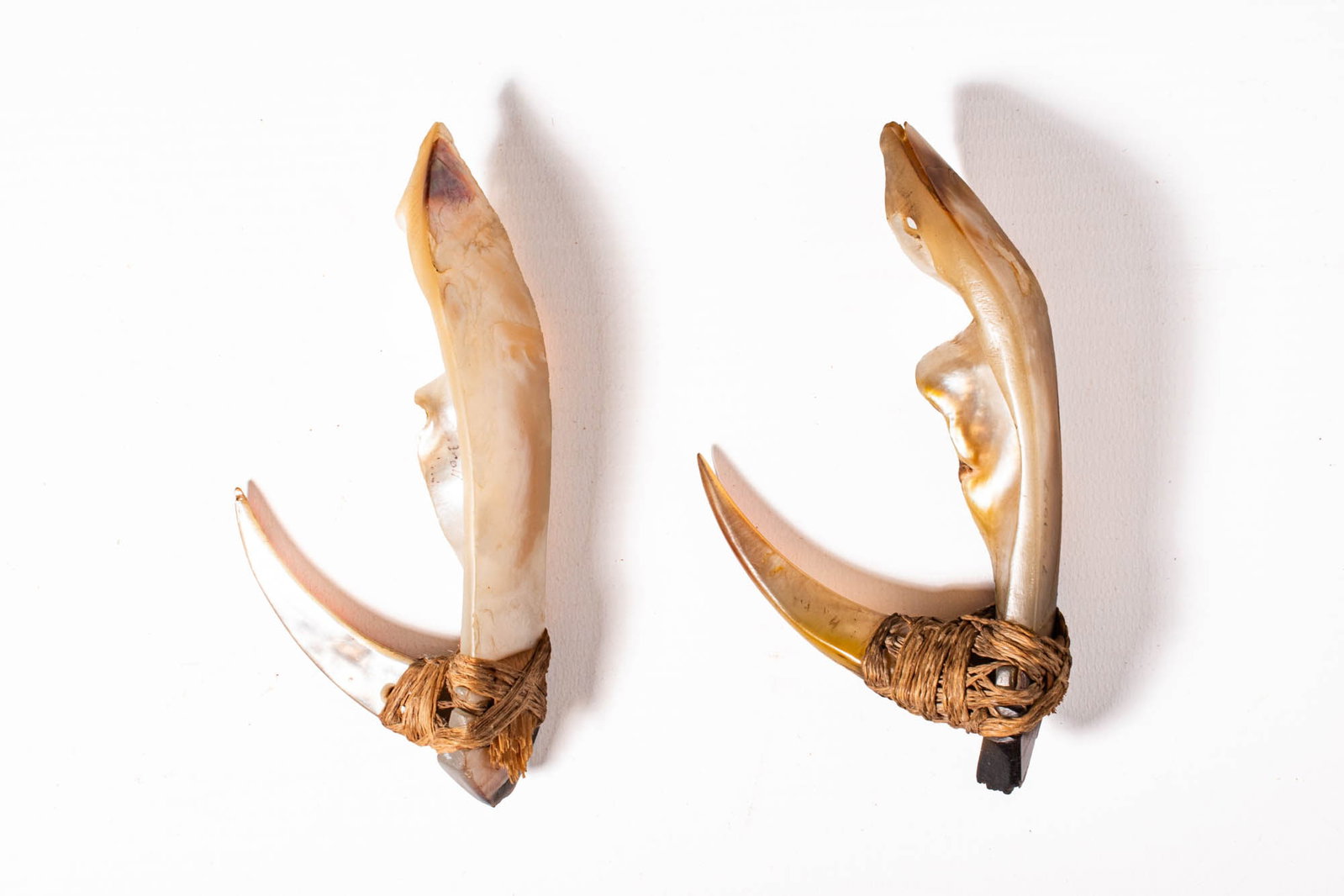 PAIR OF MARSHALL ISLANDS FISH HOOKS (1 of 2)