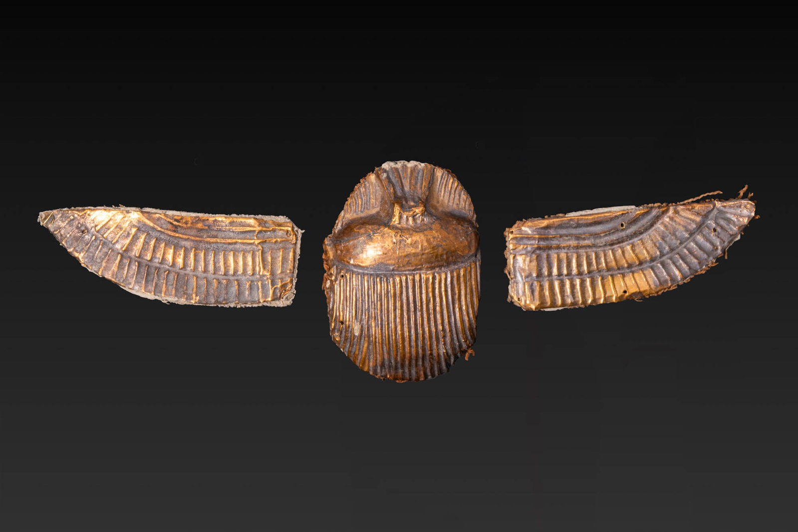 EGYPTIAN GOLD WINGED SCARAB (1 of 6)