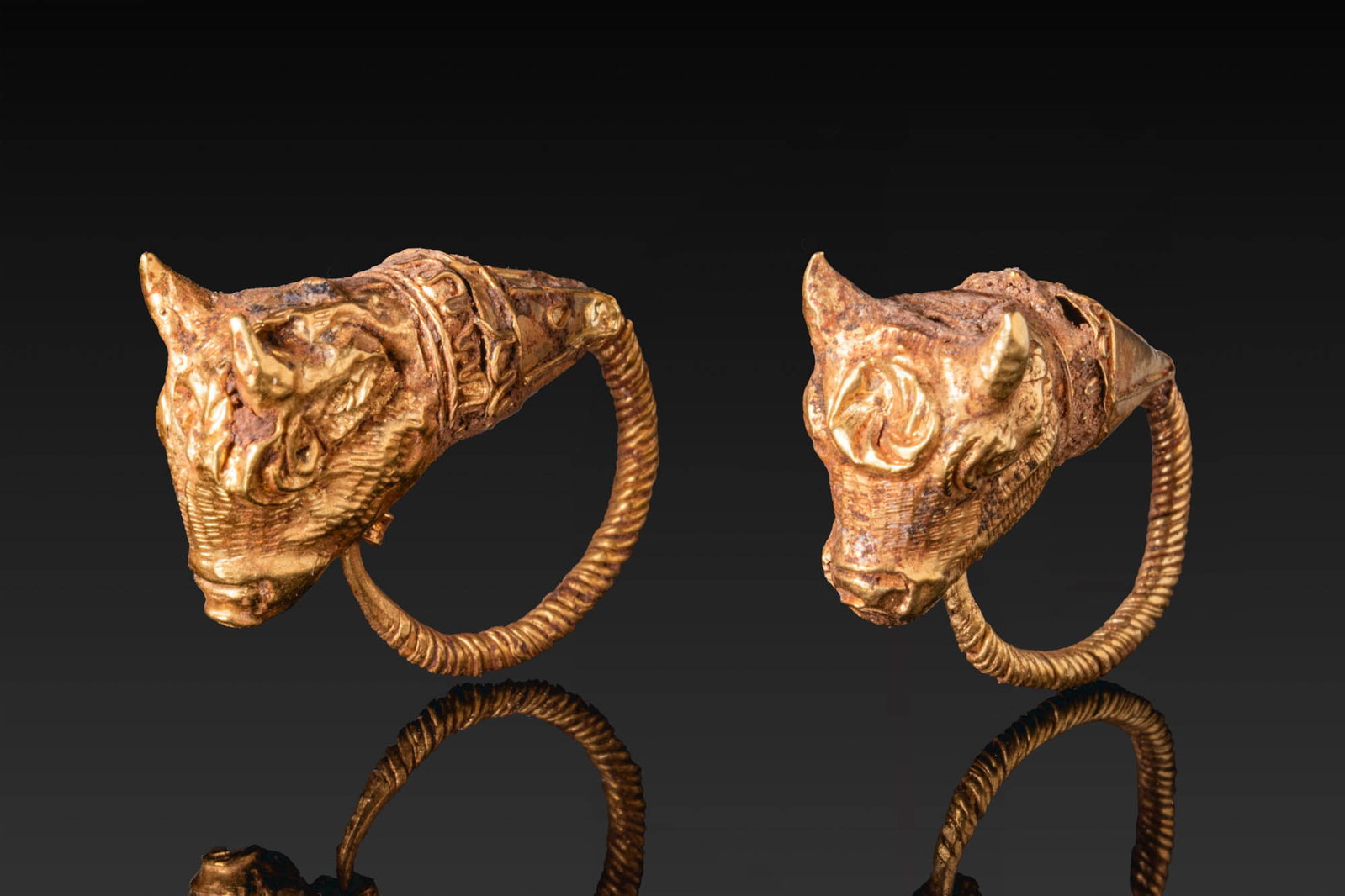 MATCHED PAIR OF HELLENISTIC GOLD BULL-HEADED EARRINGS: Ca. 400 - 300 BC. A matched pair of gold earrings, each formed as a twisted hoop with a hooked end at one side and a bull head terminal at the other, above a cylindrical collar decorated with filigree