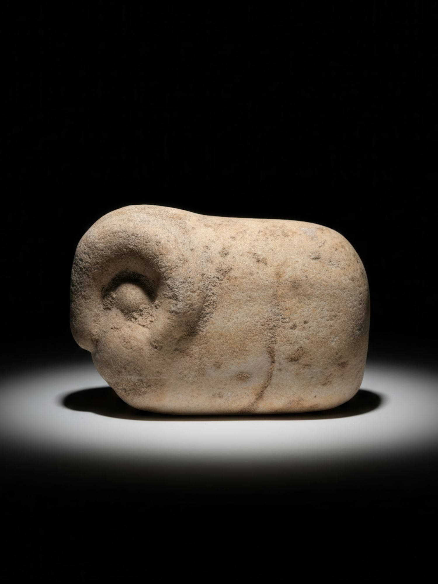 SOUTH ARABIAN MARBLE RAM (1 of 5)