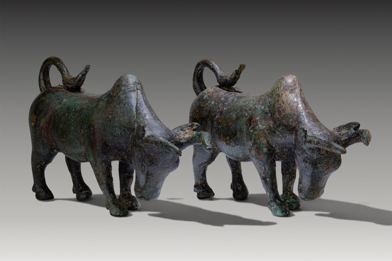 PAIR OF ROMAN BRONZE BULL FIGURINES: Ca. AD 1 - 300 . A pair of bronze bull figurines, each standing with the head lowered and the tail curled over the back. The body is compact and muscular, with a rounded hump above the shoulders and s
