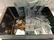 Mixed Foreign Coin and Currency Lot
