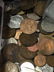 Mixed Foreign Coin and Currency Lot - 3