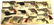 14 Toy Cap Gun Collection 1920's-1940's