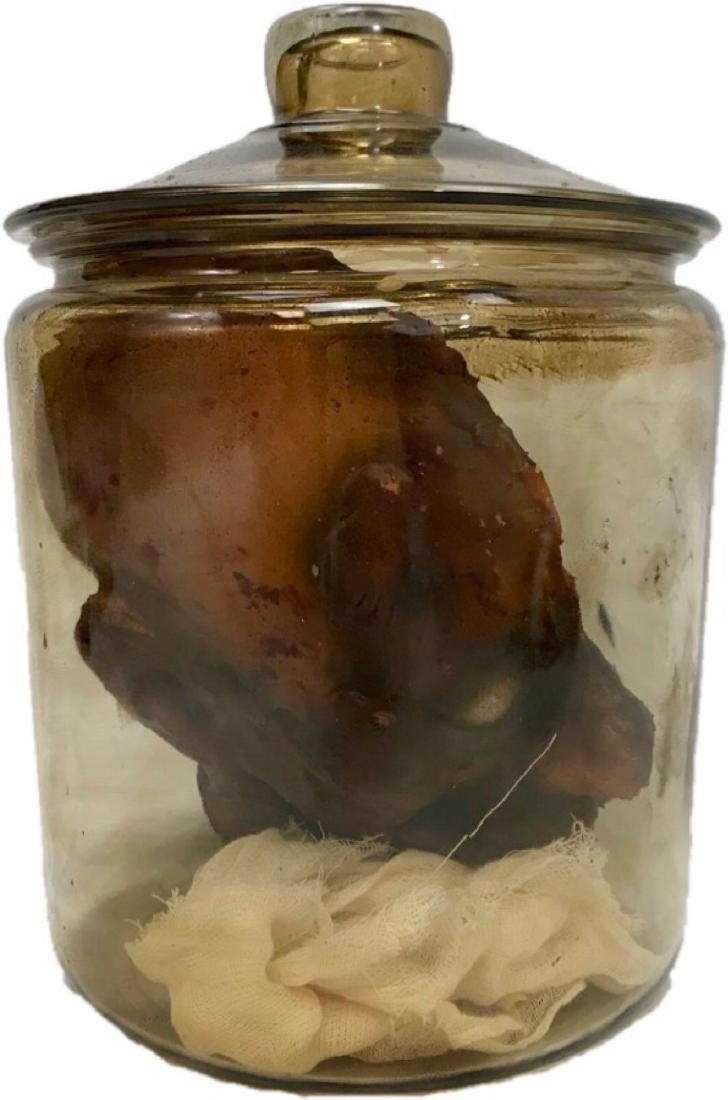 Life Sized Artificial Gory Half Head Prop: Life Sized Artificial Gory Half Head Prop; This prop is not for the faint hearted, perfect for true Halloween horror fans. The head size is almost true to size albeit it's missing the left half of. Th