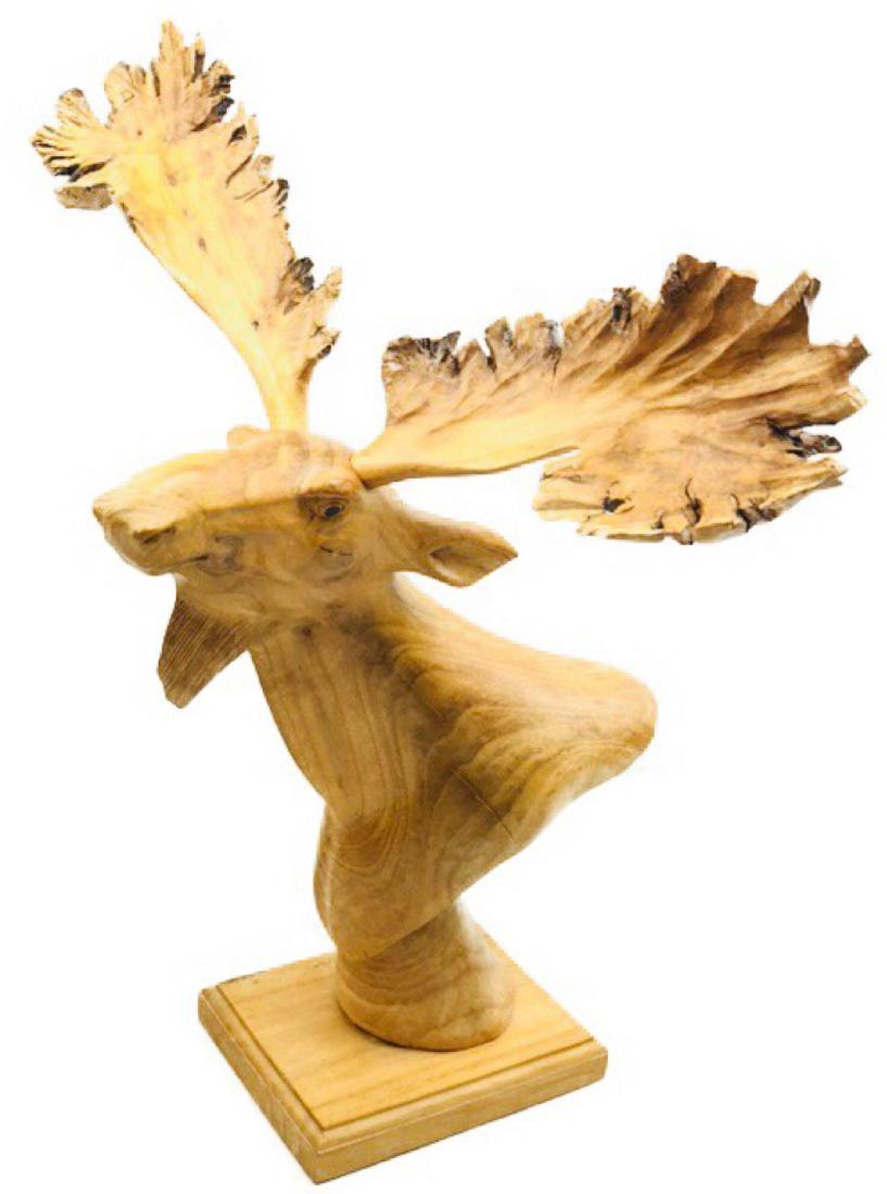 Hand-carved China-berry Burl Wood Moose, From Indonesia: Hand-carved China-berry Burl Wood Moose, From Indonesia this is a stunning sculpture carved from a very dense material. The large antlers show particularly well with the artist making good use of grai
