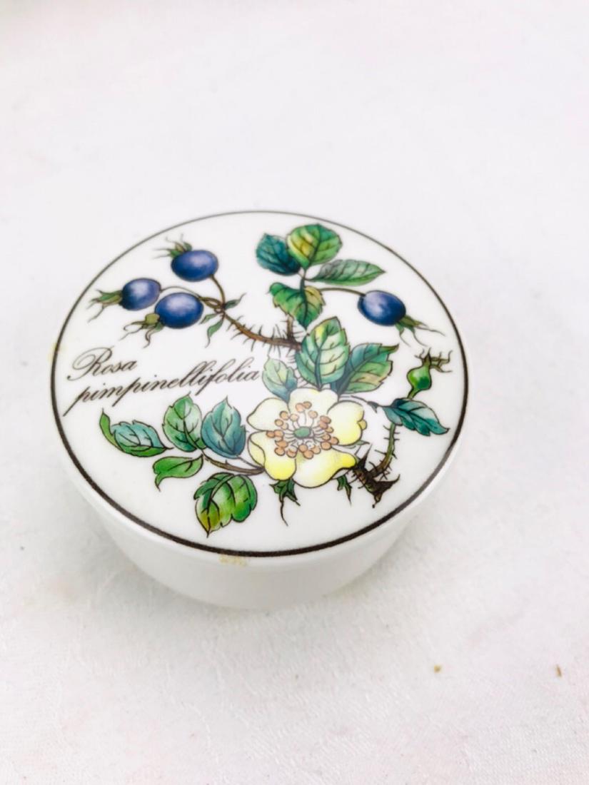 Villeroy & Boch Porcelain Trinket Box Rosa: Vintage Villeroy & Boch Botanica Porcelain Trinket Box Rosa Pinpimellifolia.Â It measures approximately 3' across by 1.75" tall.Â It is in good shape.