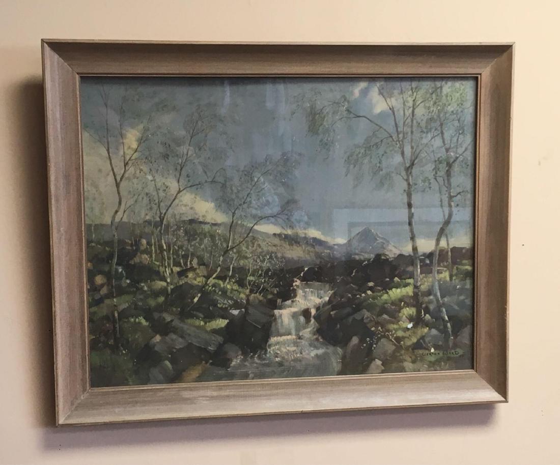 Vintage Vernon Ward Litho Print: Vintage Vernon Ward framed lithograph 18.1/2" X 22"