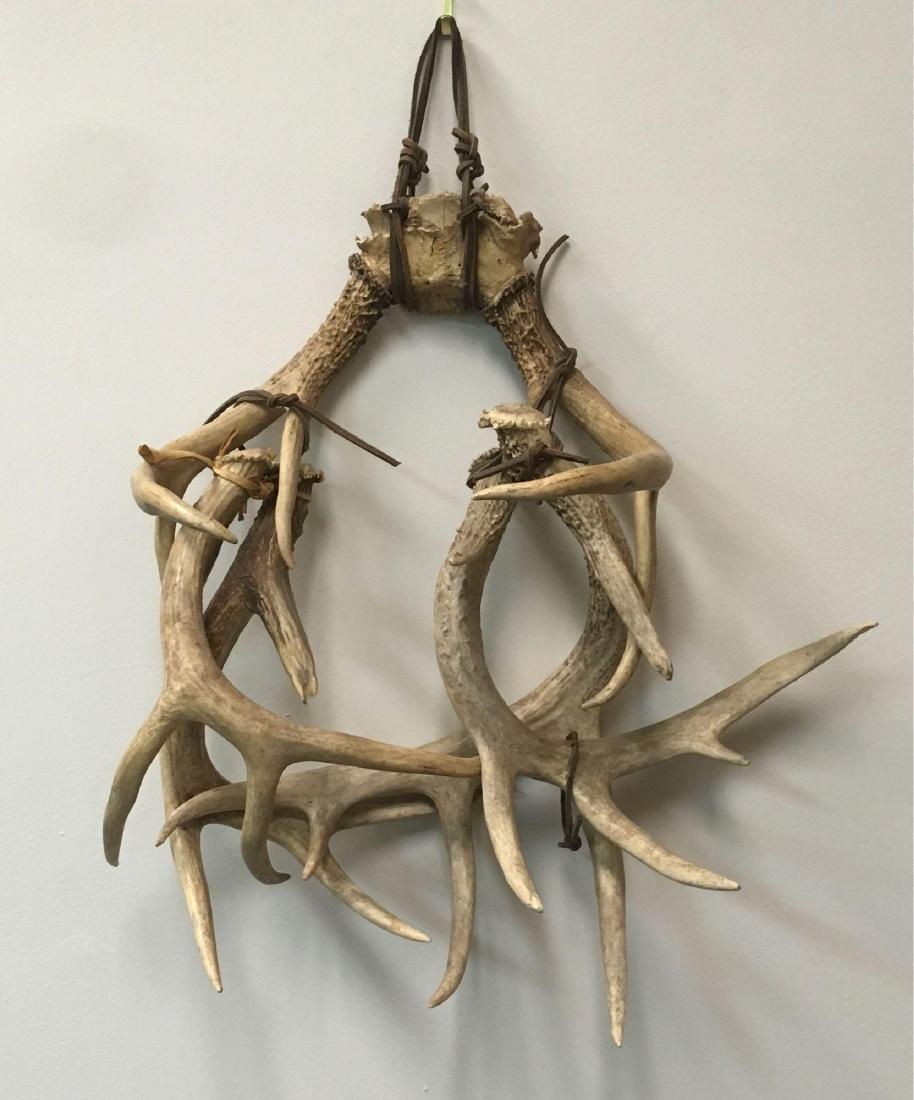3 Racks of Whitetail Deer Antler Tied with Rawhide as: 3 Racks of Whitetail Deer Antler Tied with Rawhide as Wall Art; a very rustic piece. One set of antlers is still joinedÂ with skull bone, the remaining antlers are attached. As antlers, the pieces