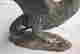 item-72051228=10