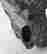 item-72051228=11