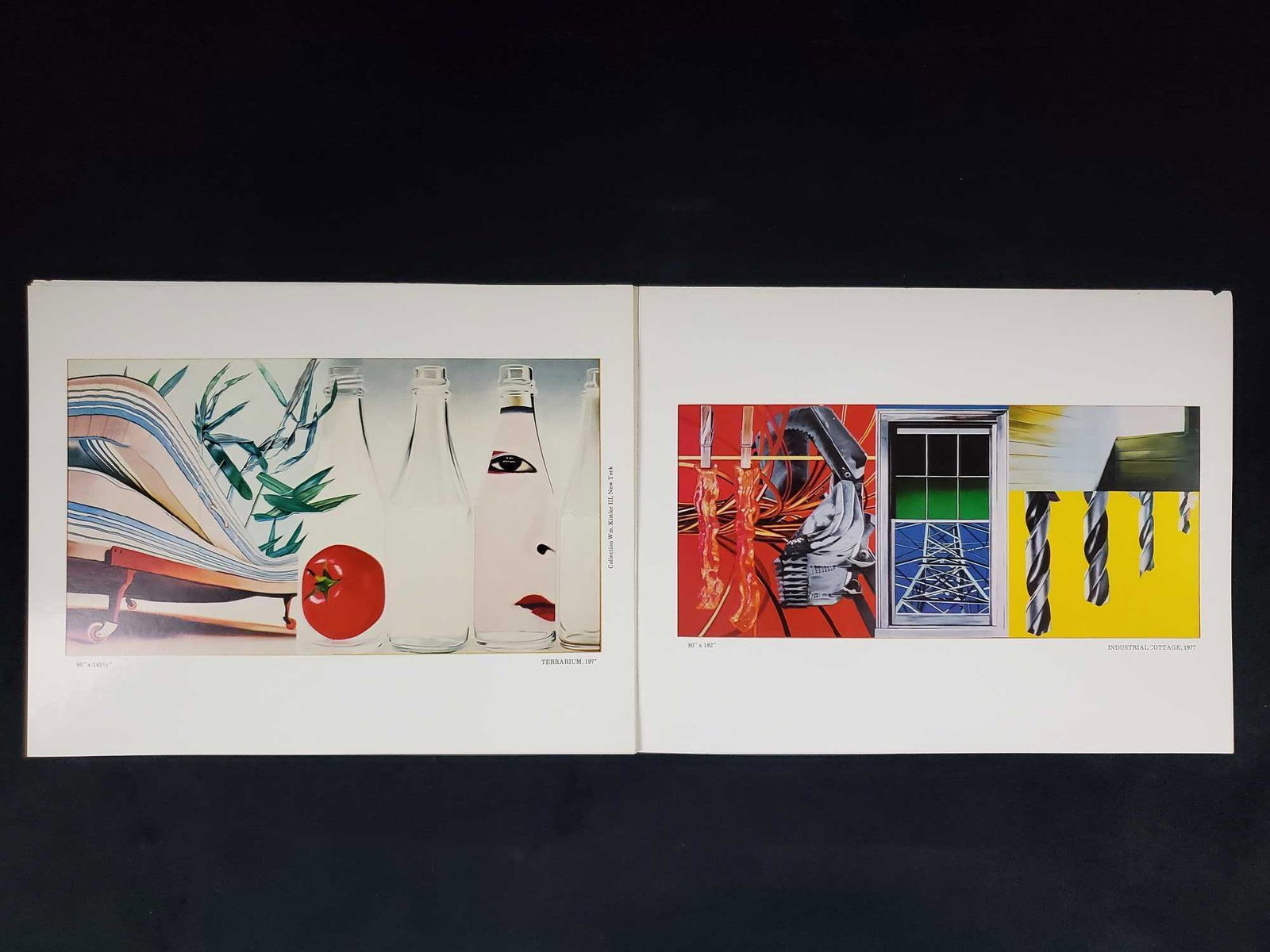 James Rosenquist Signed Paintings 1977 Catalog: This is a mini catalog of James Rosenquist's prints from his "1977" series. The inside cover is signed "For Bob Braum - Many thanks James Rosenquist". Prints are loose and suitable for framing. Is app