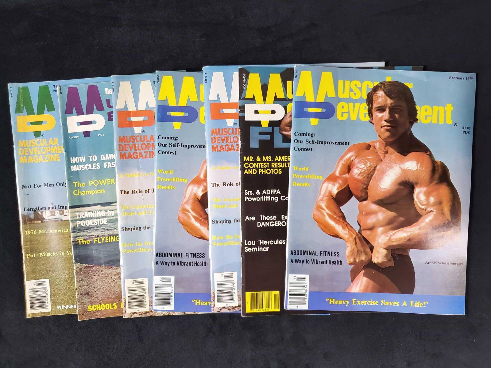 Vintage BodybuildingÂ Magazines Schwarzenegger: Muscular Development Circa 1970s Bodybuilding Magazines Arnold Schwarzenegger Paperback Men A Lot of 7 Muscular Development with some duplicates. This is a published bi-monthly by StrengthÂ & Health
