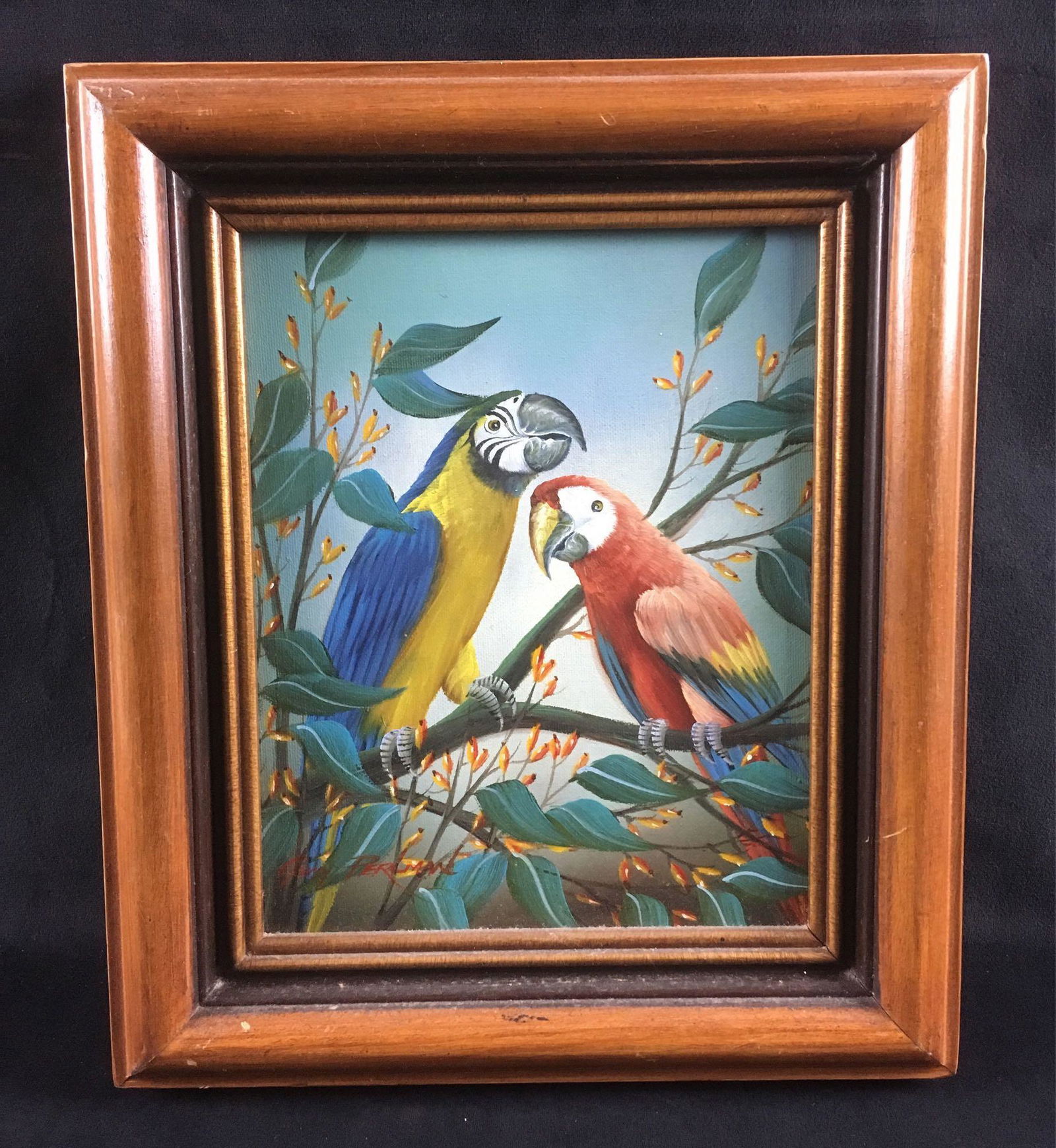 Original Guy Perlman Macaw Parrot Oil Painting: Original Guy Perlman Macaw Parrot Oil Painting; A tropical parrot painting signed by the artist Guy Perlman and comes in a thick wood frame. It is in excellent condition and frame to frame measures ab