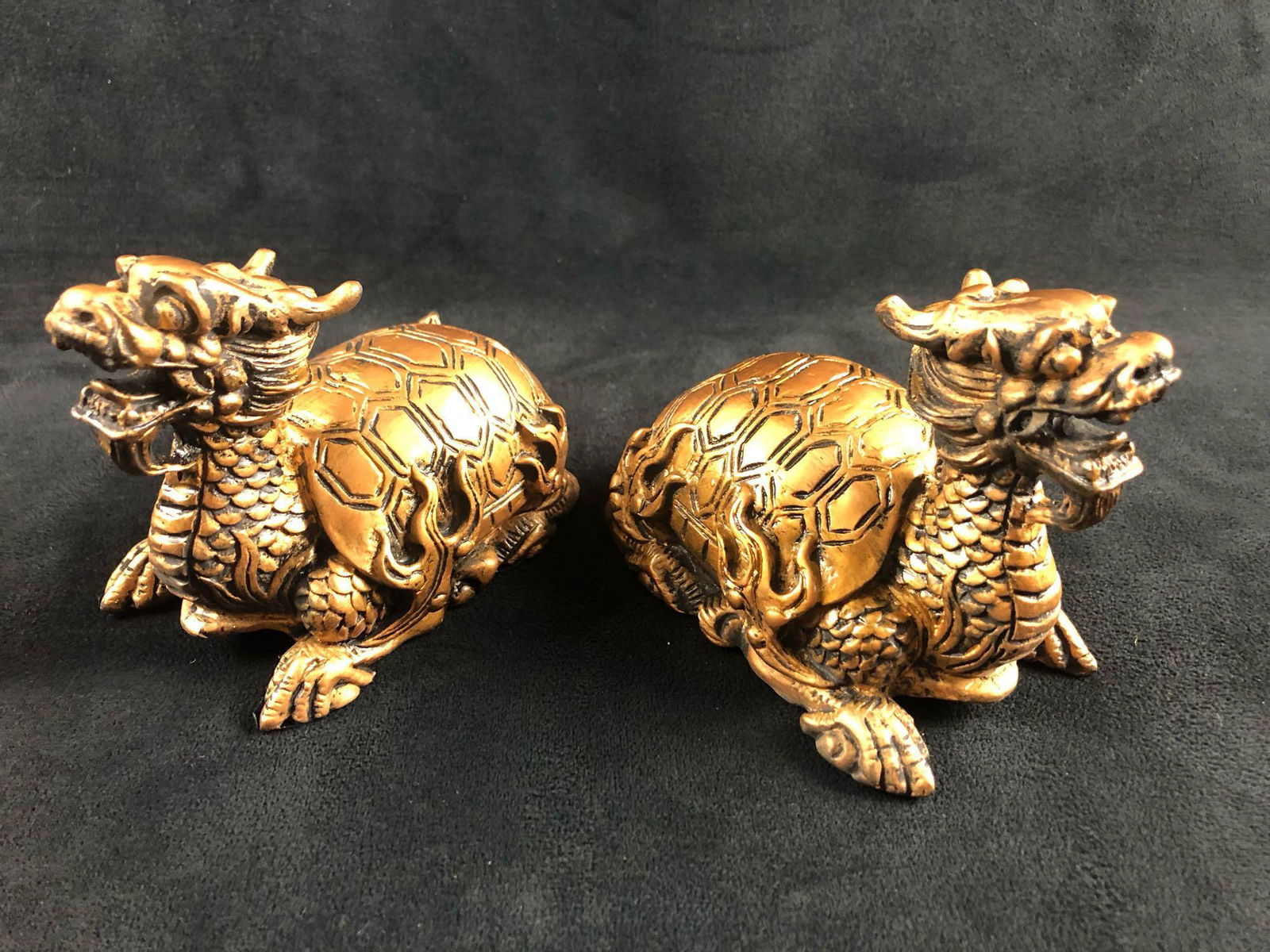 Feng Shui Gold Dragon Head Turtle 2 (1 of 12)