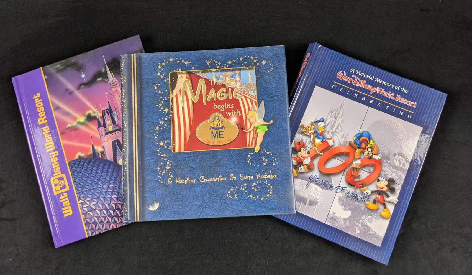 Hardcover Disney Parks Lot Of Three A (1 of 10)