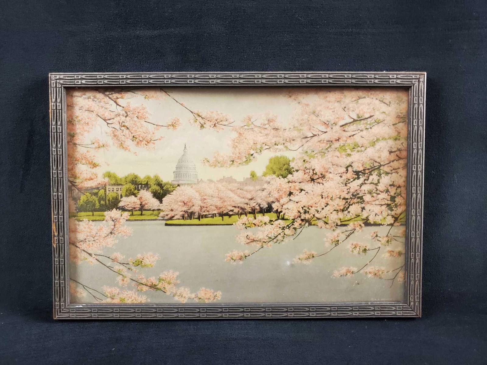 Vintage US Capitol Building With Cherry Blossoms (1 of 7)