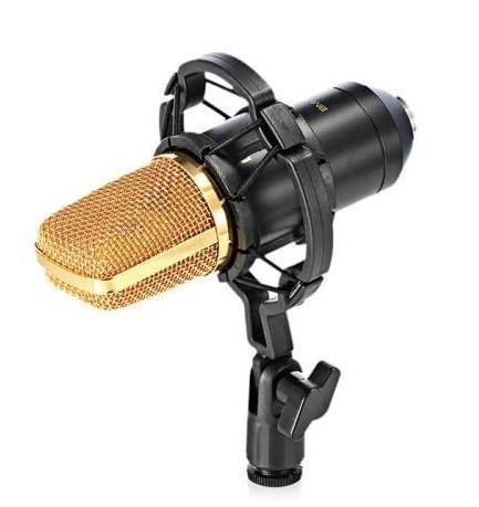 Pro Large Diaphragm Studio Recording Microphone (1 of 8)