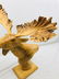 Hand-carved China-berry Burl Wood Moose, From Indonesia - 4