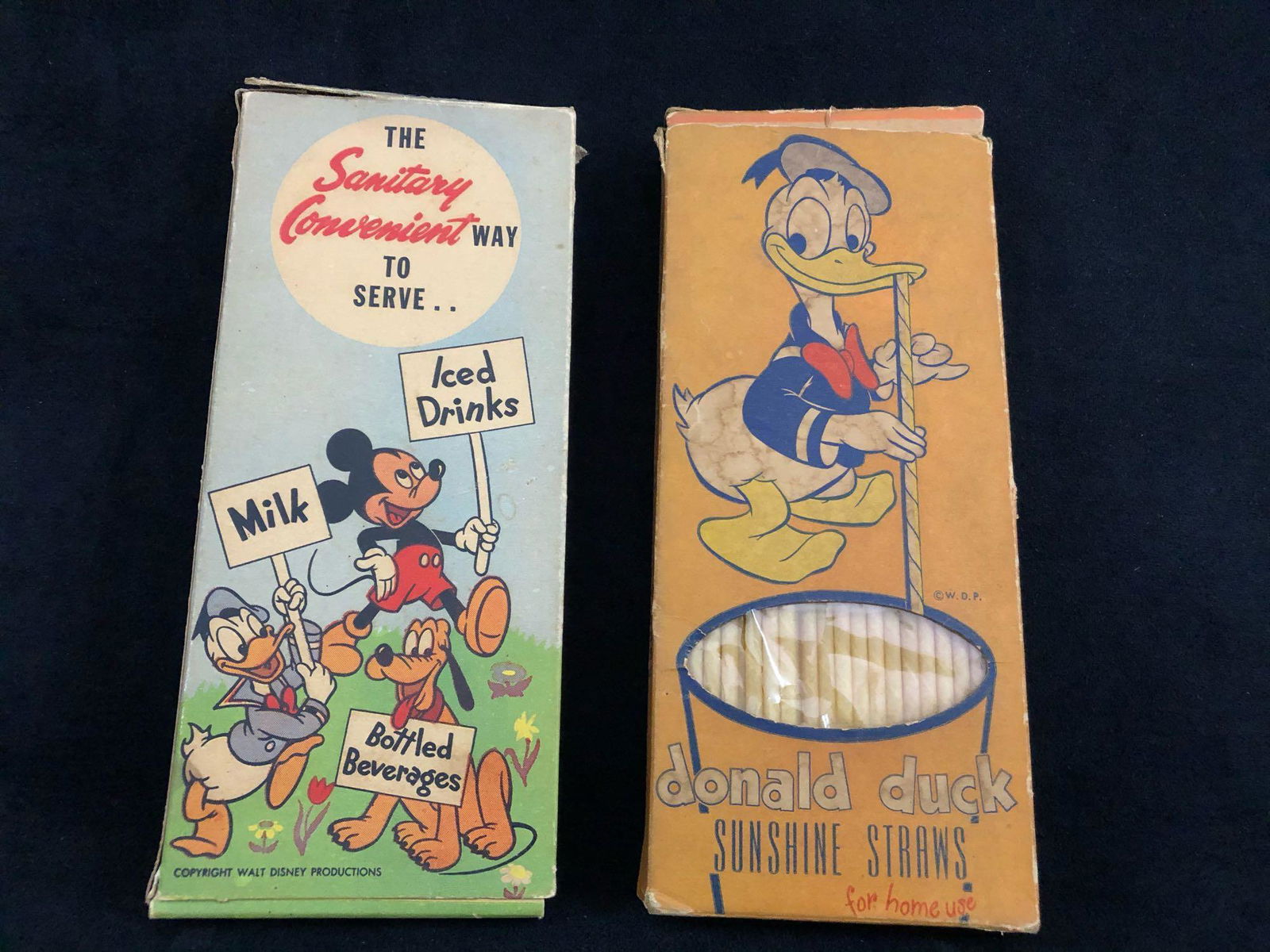 Vintage Disney Mickey Mouse & Donald Duck Sunshine (1 of 10)