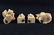 Chinese Art Wise Men Quan Yin Figurine Lot - 7