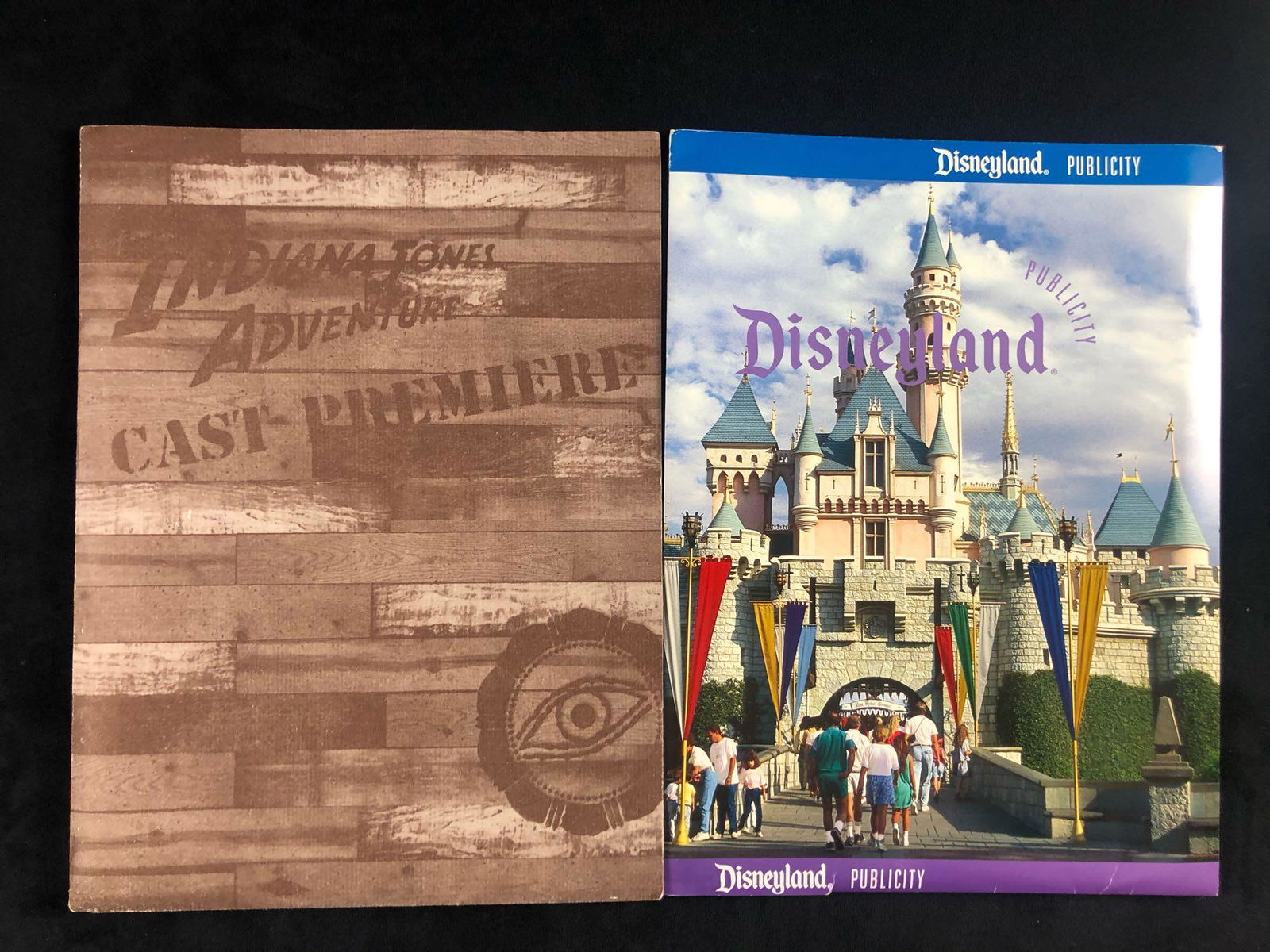 Indiana Jones Adventure Temple Forbidden Eye Disneyland (1 of 7)