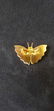 Vintage Mother of Pearl and Rhinestone Brooches Lot of - 9
