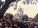 Lot of 2 Vintage Disney World Magic Kingdom Cinderella - 10