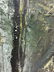Triumphal Arch Original Painting Art K.Pacino - 5
