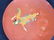 Vintage Hand painted Red Lacquer ware Plates - 3