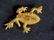 Gold Tone Art Deco Floral Earrings and Frog Pin - 7