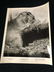 1975 The Vanishing Prairie Black/White Disney - 15