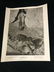 1975 The Vanishing Prairie Black/White Disney - 3