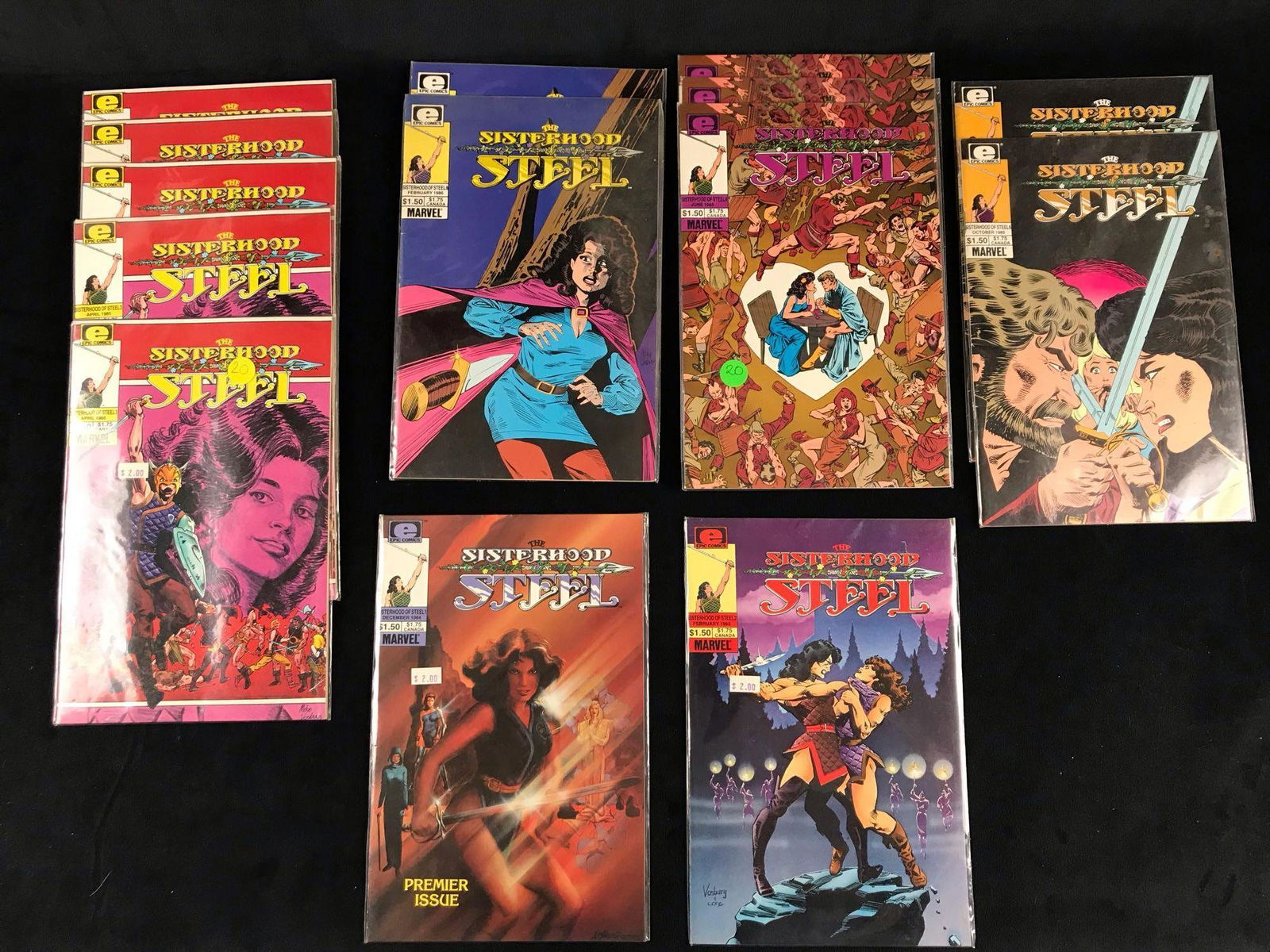 Sisterhood Of Steel Comics (1 of 7)