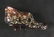 Carnival Glass Art Designer Joe Rice Lot - 6