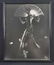 French Art Deco Max Le Verrier Photograph Signed Jenner