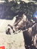 Gene Autry Smiley Burnette Bells of Capistrano A - 3