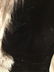 Black Leather Coat Indigo Fox Collar Fur Jacket - 3