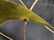 Signed Curtis Jere Brass Seagull BIRDS Wall Sculpture - 7