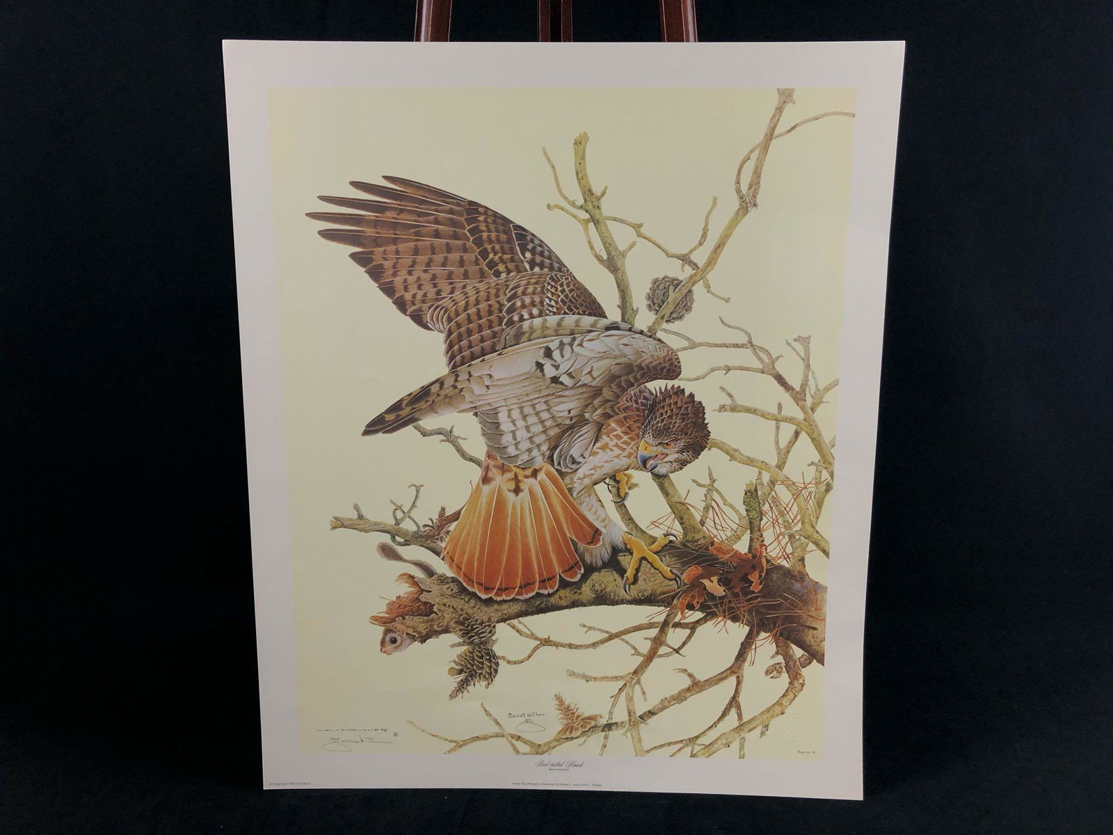 Vintage Wildlife Artist Jim Oliver "Red Tailed Hawk " (1 of 9)