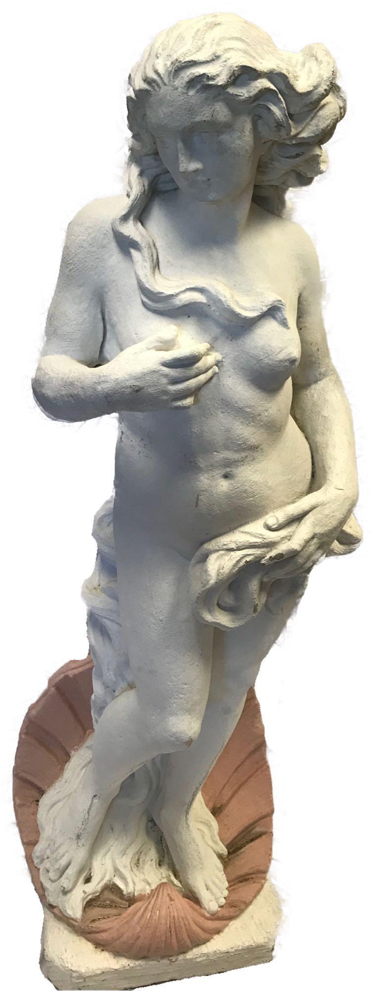 Garden Statue "The Birth of Venus" by Botticelli: Garden Statue "The Birth of Venus" modeled after Botticelli; very heavy piece cast in concrete. A copy based on the painting, "The Birth of Venus". Ancient legends believe that Venus sprung from the f
