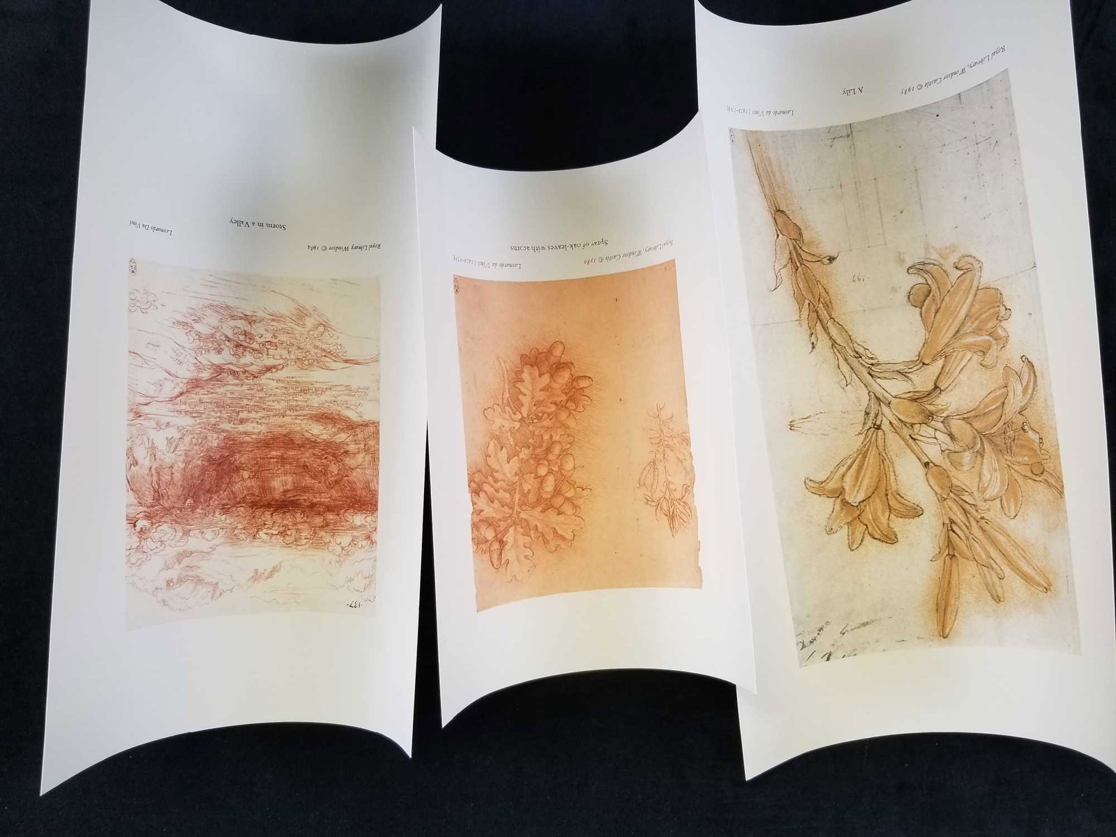 Lot of 3 Leonardo Da Vinci Prints from Royal Library: This set of Leonardo Da Vinci Prints from Royal Library Windsor is in great condition. This set includes: Storm in a Valley, reproduced by Royal Library Windsor in 1984 on what appears to be some type