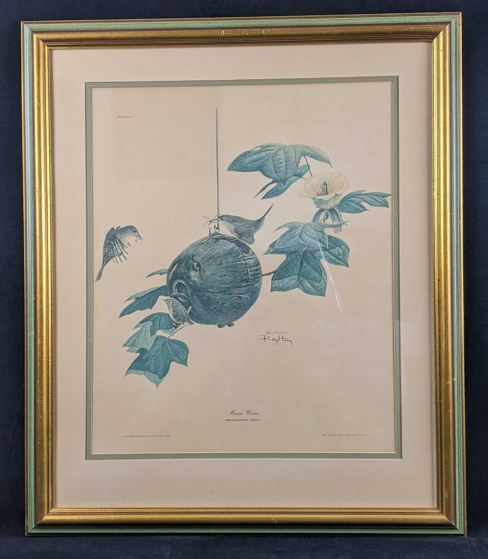 Vintage Framed Ray Harm Signed Litho House Wren: Vintage Framed Ray Harm Signed Litho House Wren. Shows a House Wren couple as they tend to their chicks and their birdhouse. This was released in 1963 with a limited release of 5000. Framed art is app