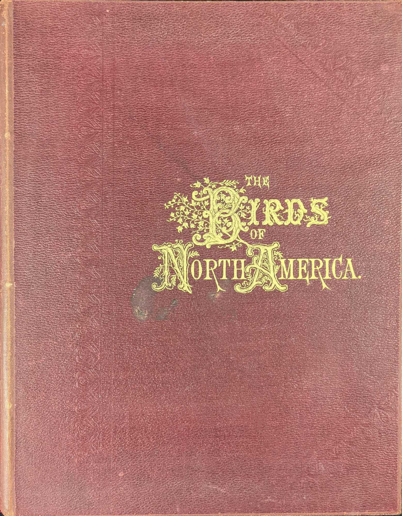 Antique Birds Of North America Hardcover Jacob H Studer (1 of 10)
