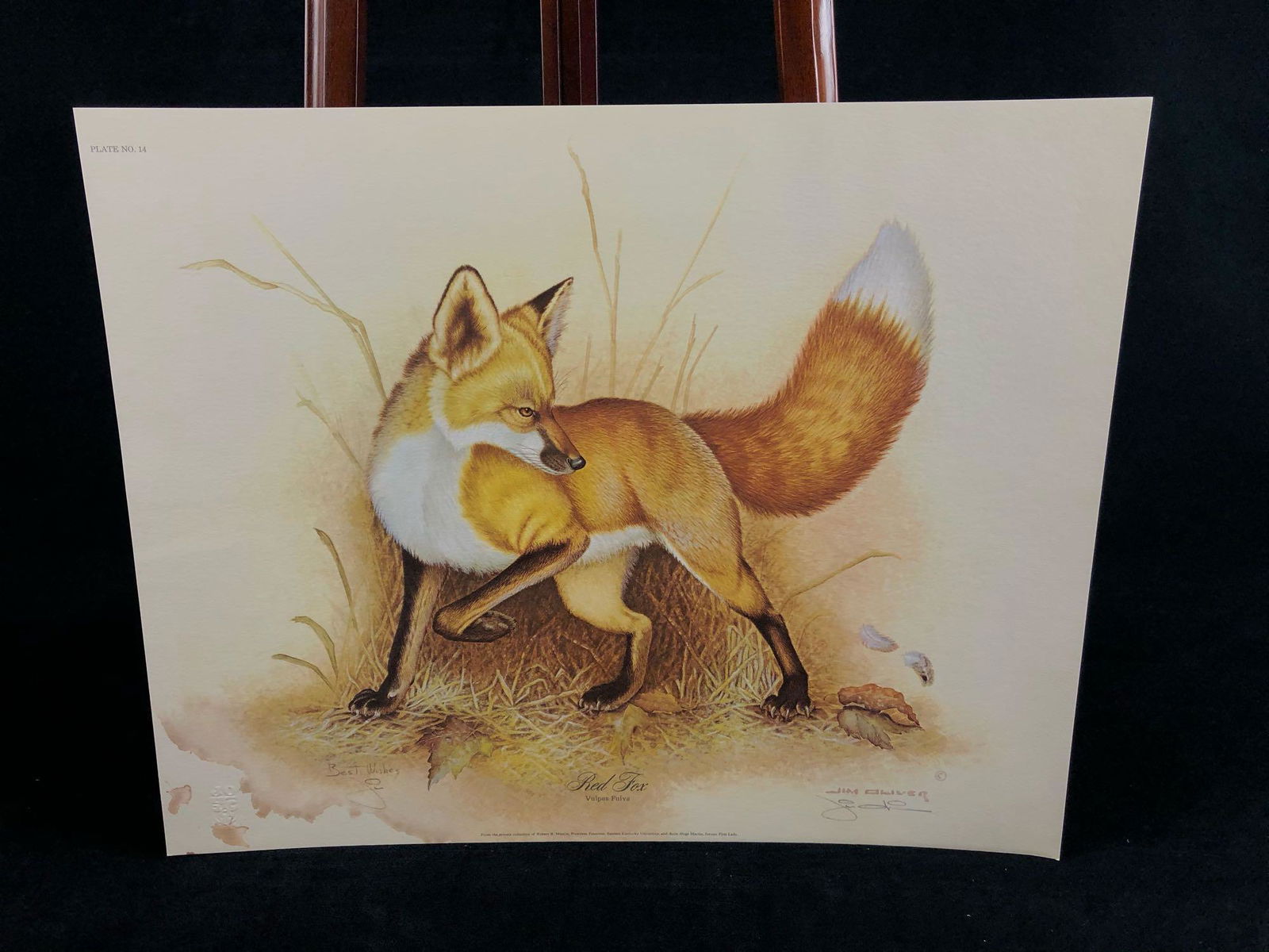 Vintage Wildlife Artist Jim Oliver "Red Fox " Signed (1 of 12)
