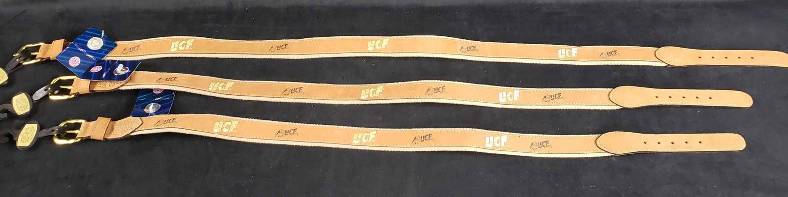 Set of 3 Zep Pro UCF Leather Belts: Set of 3 Zep-Pro UCF Leather Belts. This lot of leather belts is new old stock. The belts have never been worn and have no damage to them. The belts come in size 32, 34, and 40.