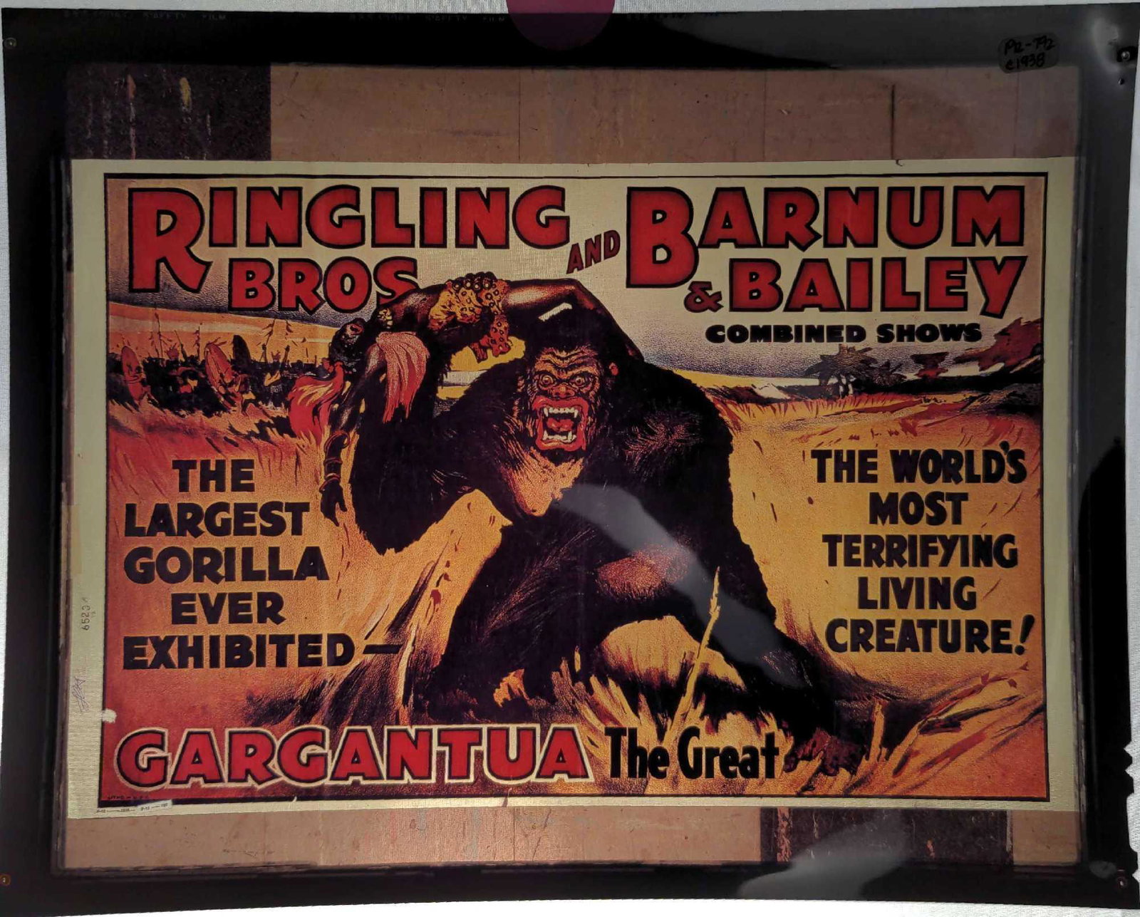 Ringling Brothers Barnum Circus Poster Transparency (1 of 3)